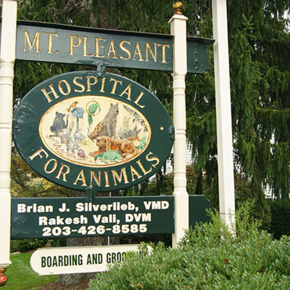 About us - Mt. Pleasant Hospital for Animals